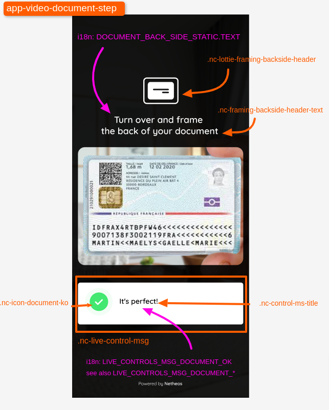 video-identification-doc4