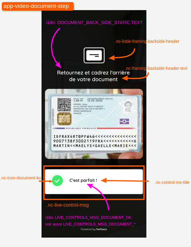 video-identification-doc4